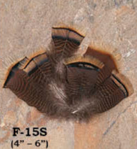 Loose Feathers - Hat Accents
