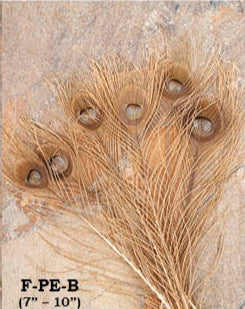 Loose Feathers - Hat Accents