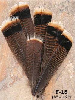 Loose Feathers - Hat Accents
