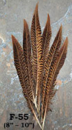 Loose Feathers - Hat Accents