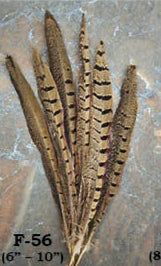Loose Feathers - Hat Accents