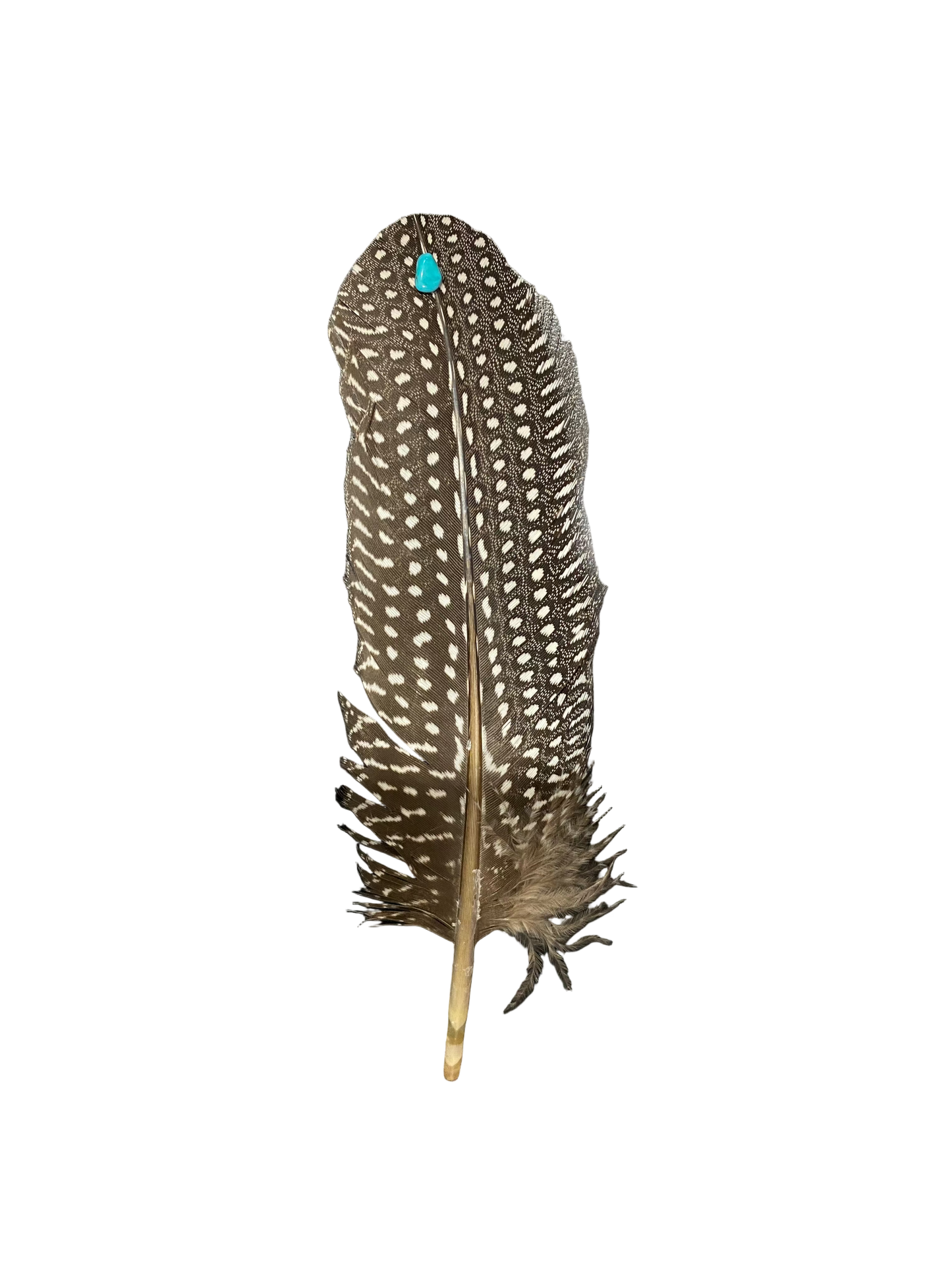 Loose Feathers - Hat Accents