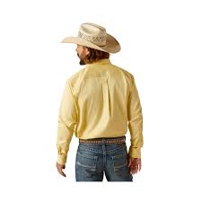 Ariat Team Logo Twill Frozen Sun LS SHRT