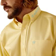 Ariat Team Logo Twill Frozen Sun LS SHRT