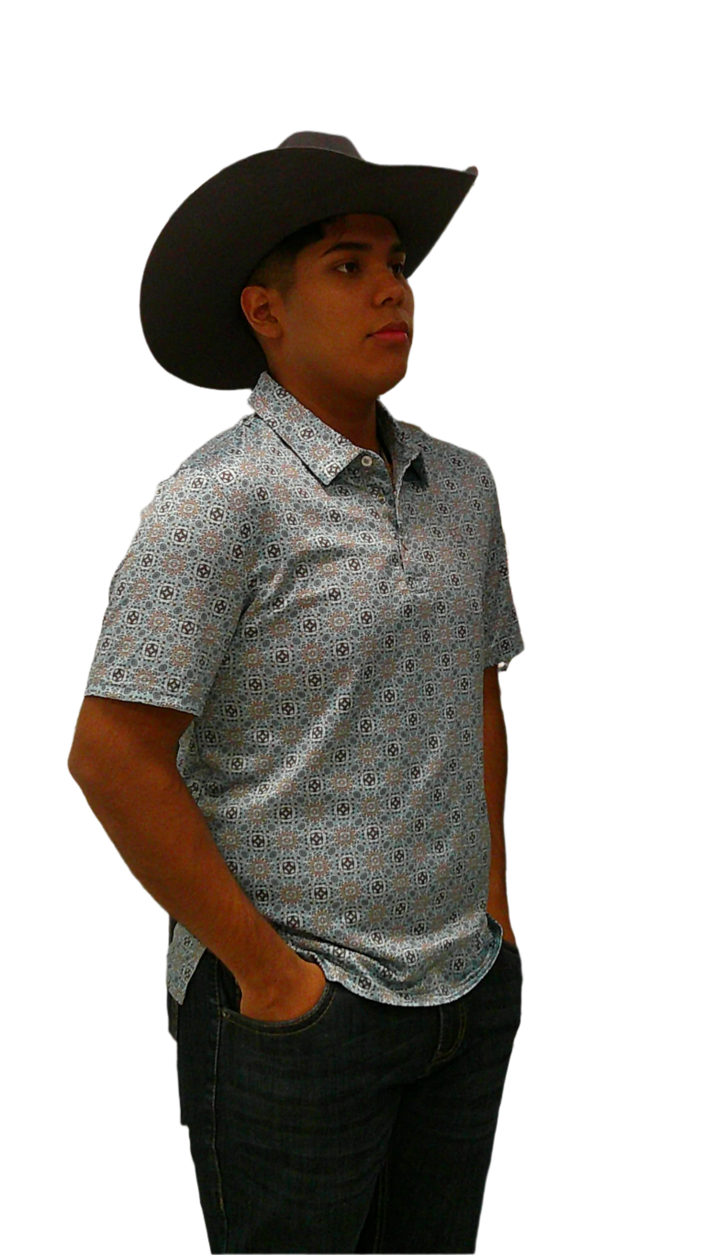 PANHANDLE SLIM SS SNAP POLO