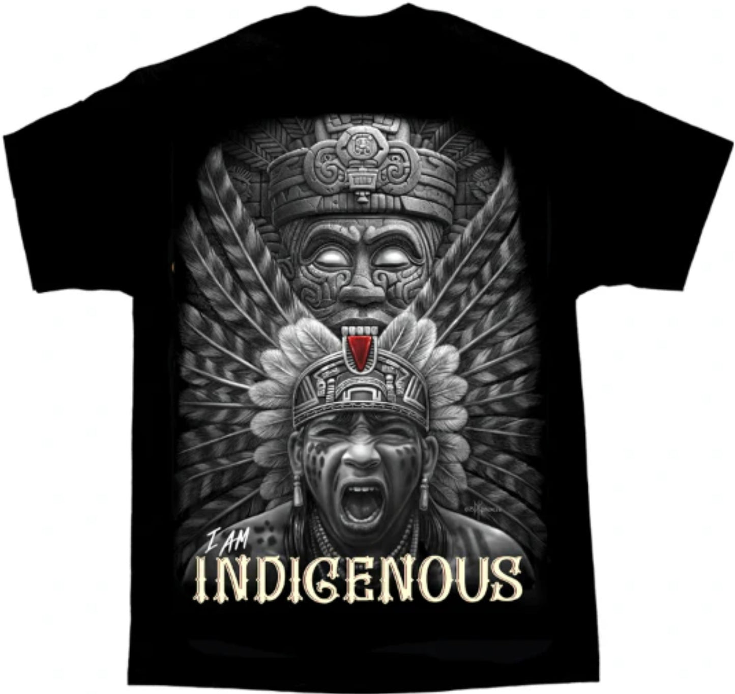 I AM Indigenous Men's Tee DGA TEES