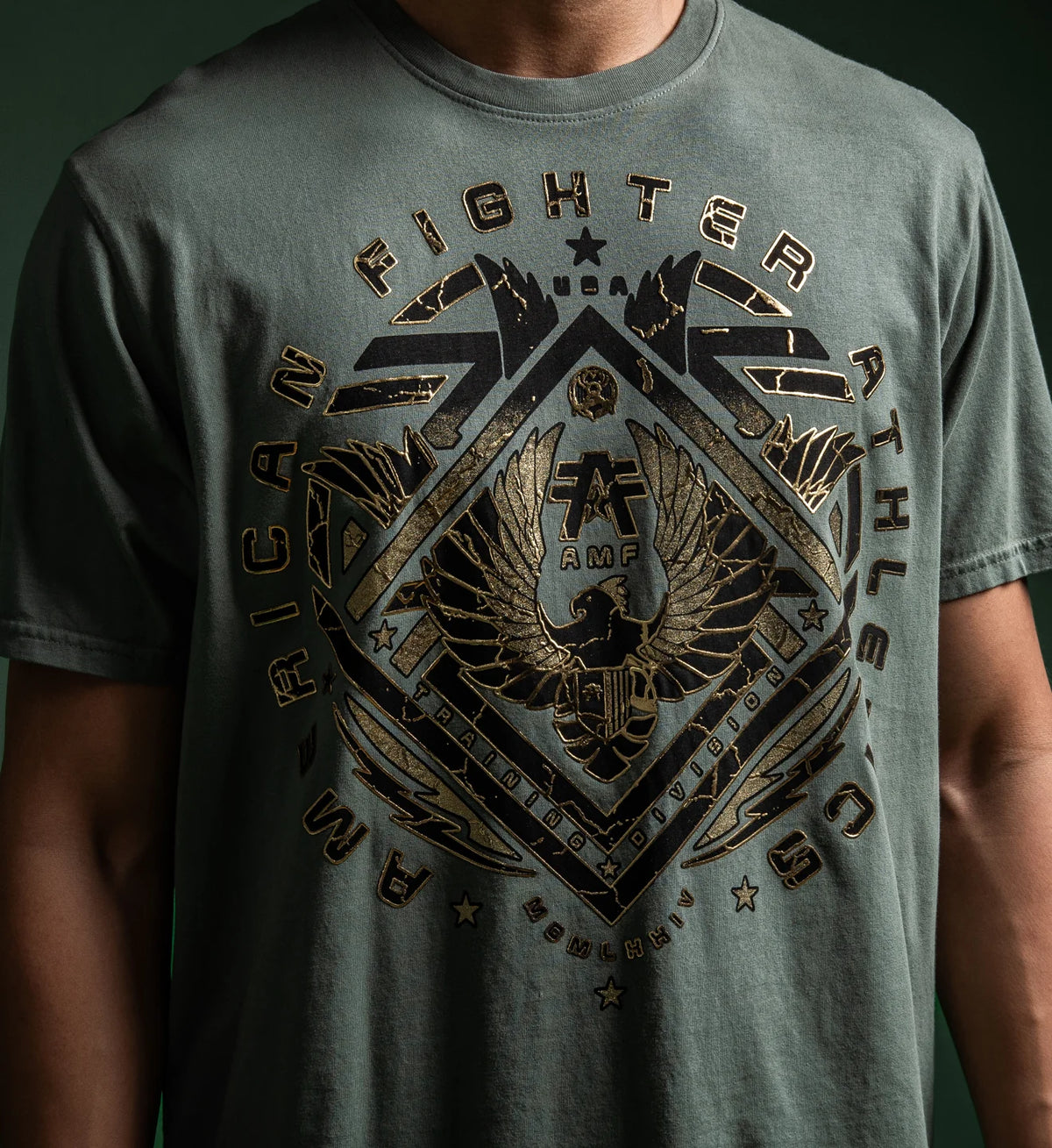 American Fighter Airmont Tee