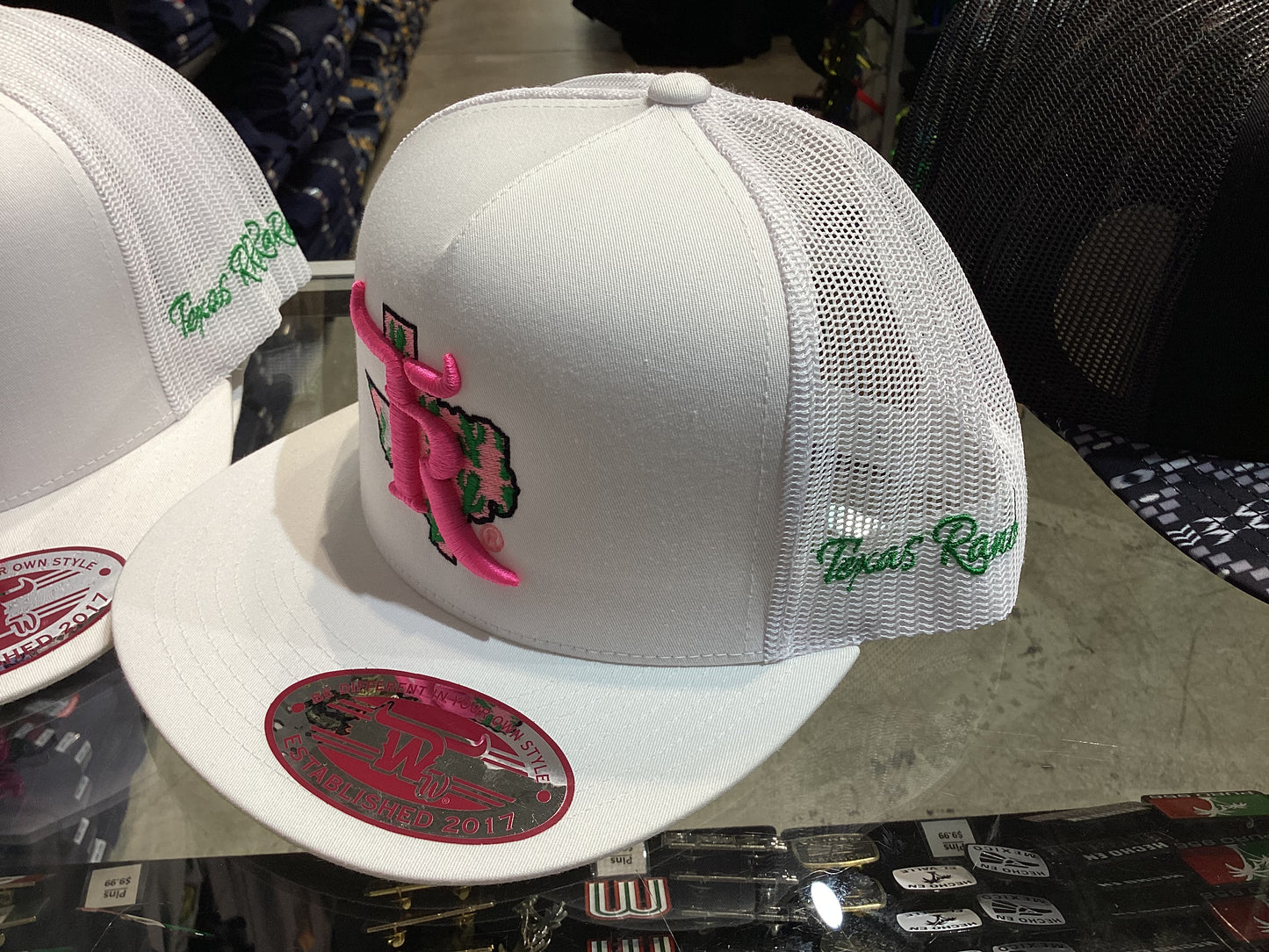 Texas Ranch ~Pink Cactus Cap