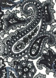 Panhandle Slim Paisley Print LS Snap Shirt