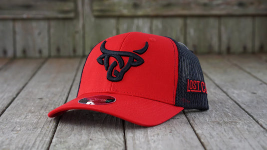 Lost Calf Watusi Curve