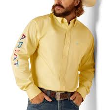 Ariat Team Logo Twill Frozen Sun LS SHRT