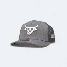 Lost Calf Iron Curve Cap